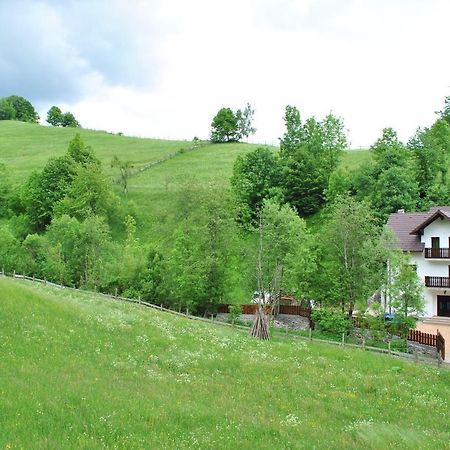 Willa La Craita Bran  Zewnętrze zdjęcie